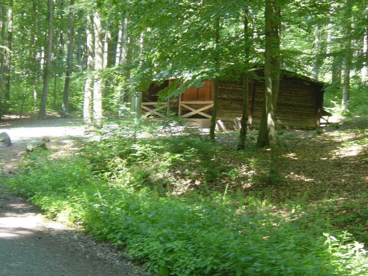 Апартаменты Haus Am Wald Hillscheid Экстерьер фото